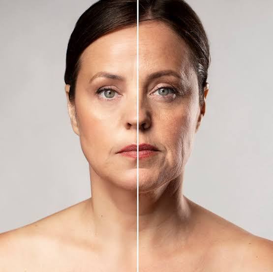 Ayurveda Rejuvenation therapy – 7N